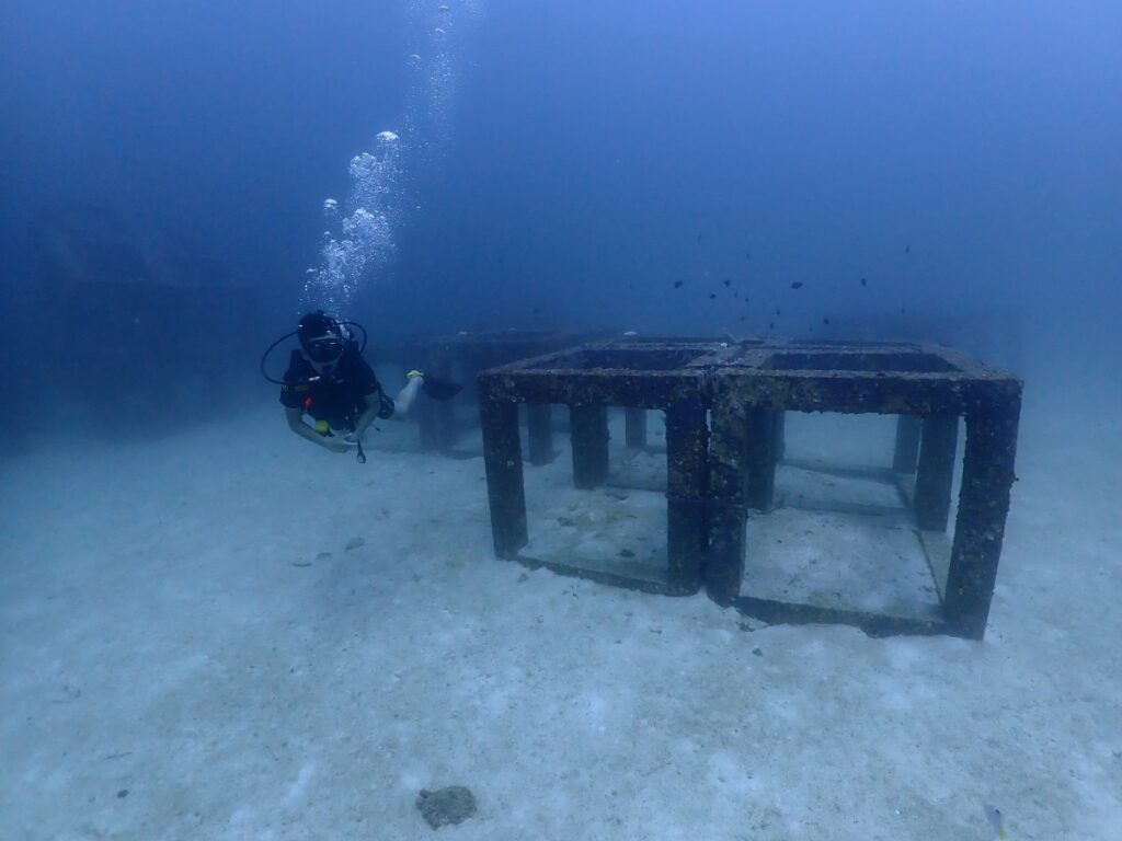 プーケットのラチャ島でダイビング