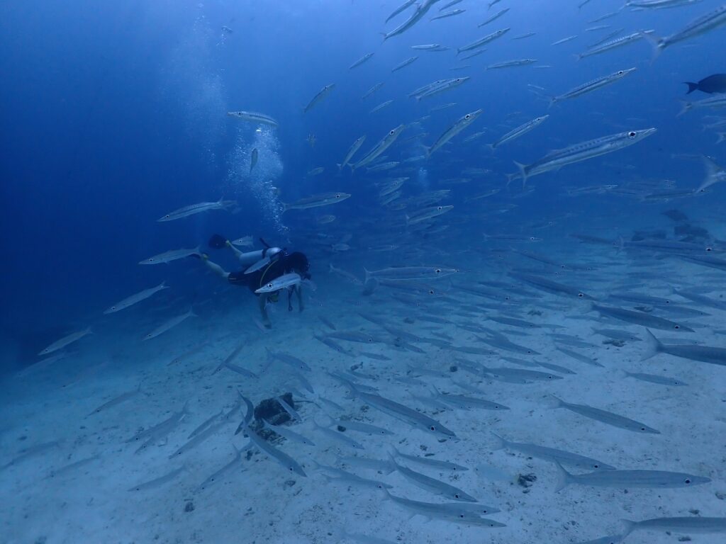 プーケットのラチャ島でダイビング