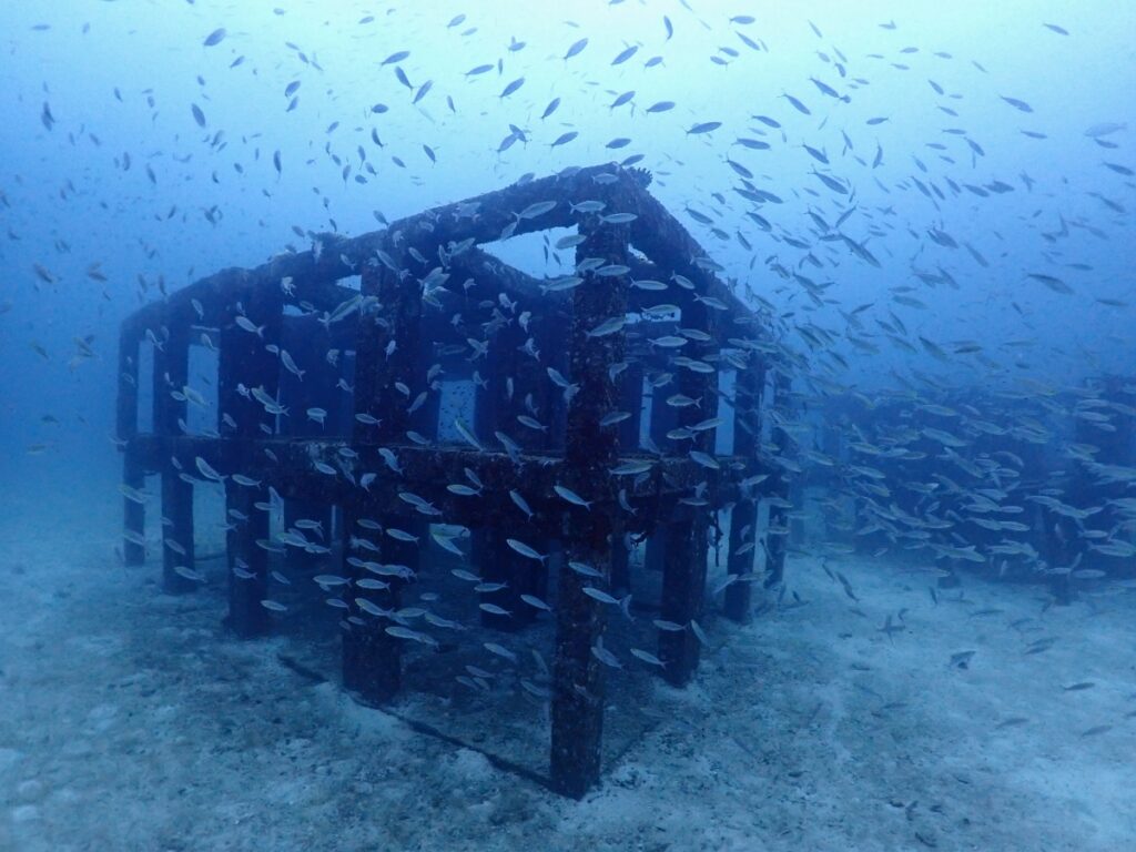 プーケットのラチャ島でダイビング