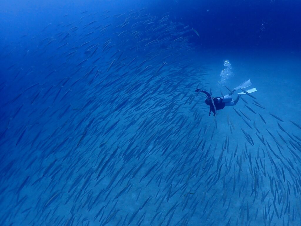 プーケットのラチャ島でダイビング