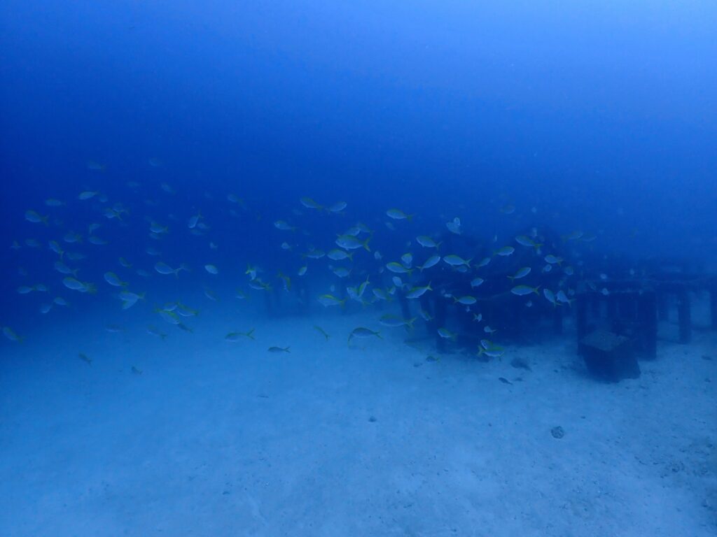 プーケットのラチャ島でダイビング