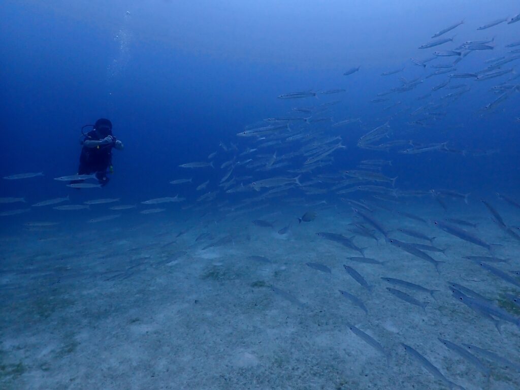 プーケットのラチャ島でダイビング