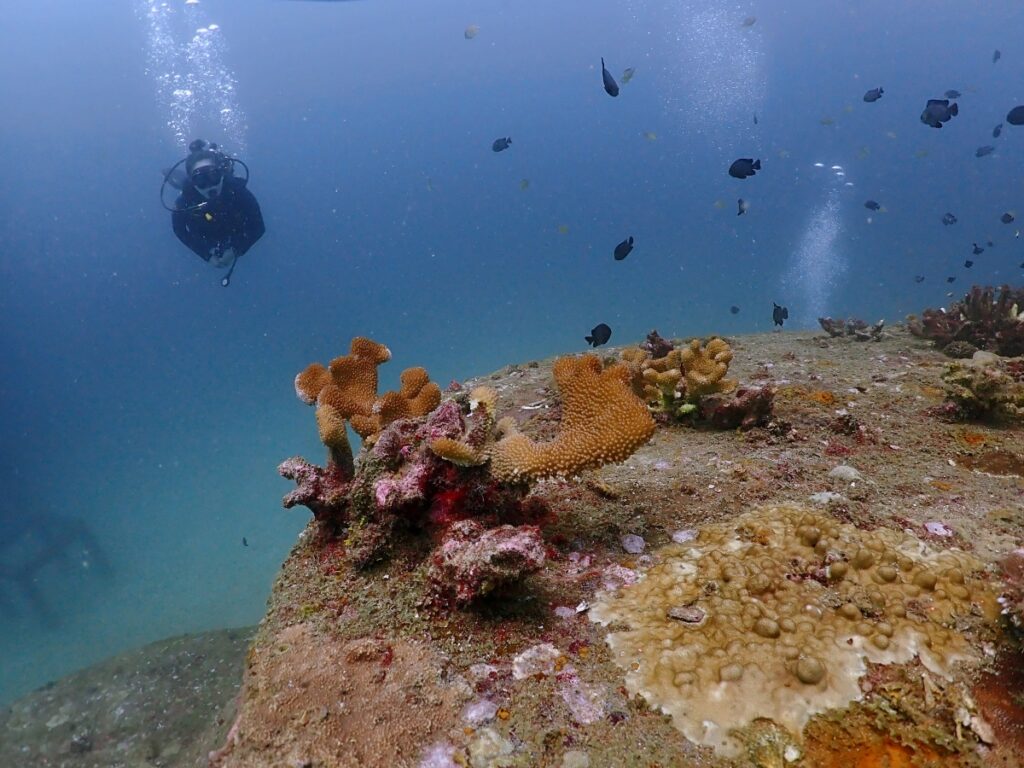 プーケットのラチャ島でダイビング