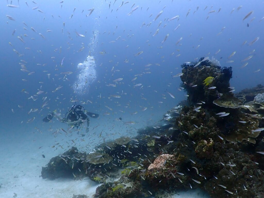 プーケットのラチャ島でダイビング