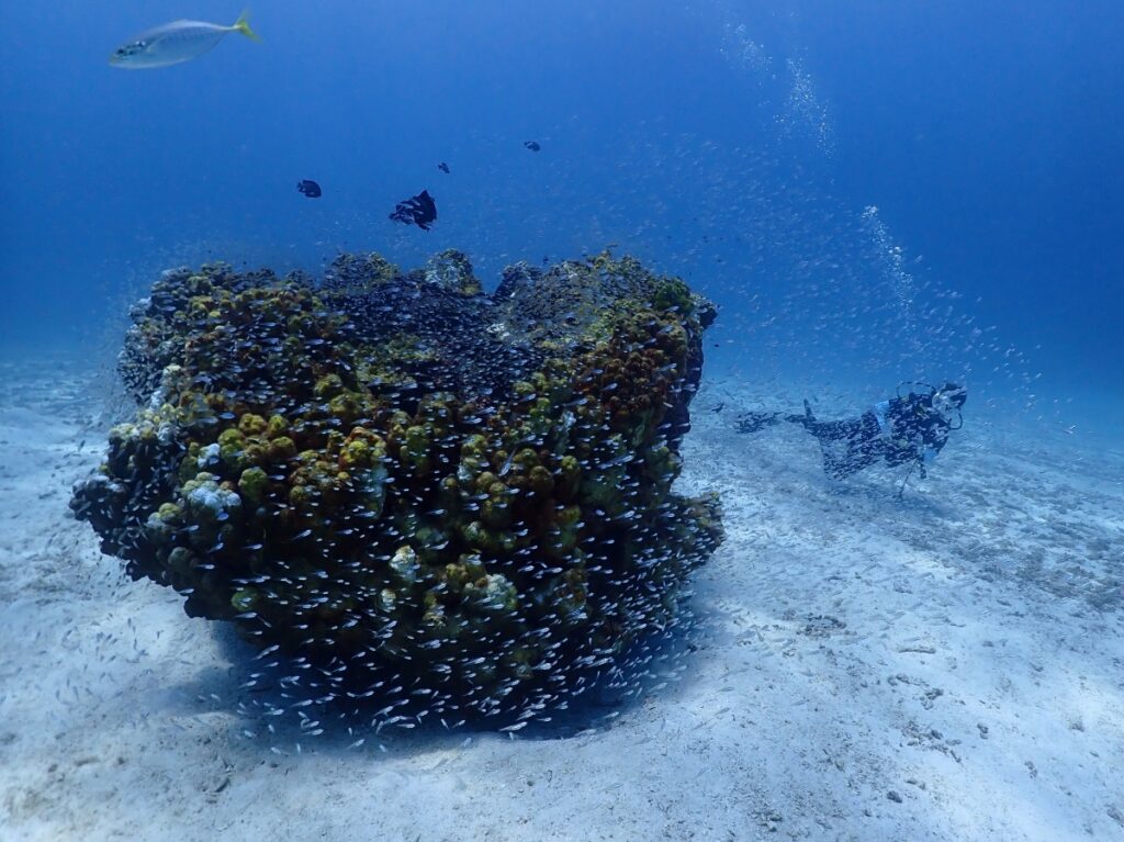 プーケットのラチャ島でダイビング