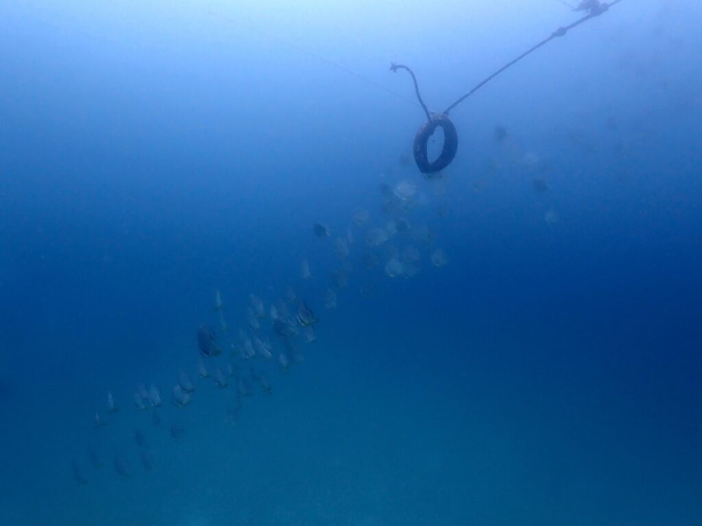 プーケットのラチャ島でダイビング