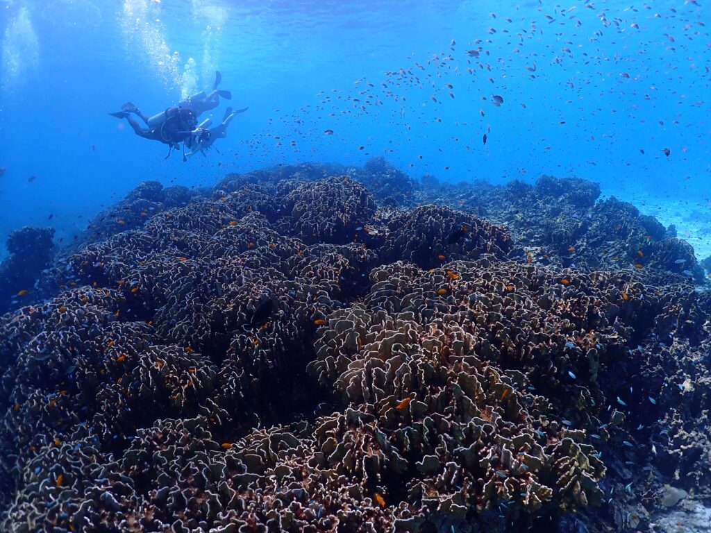 プーケットのラチャ島でダイビング