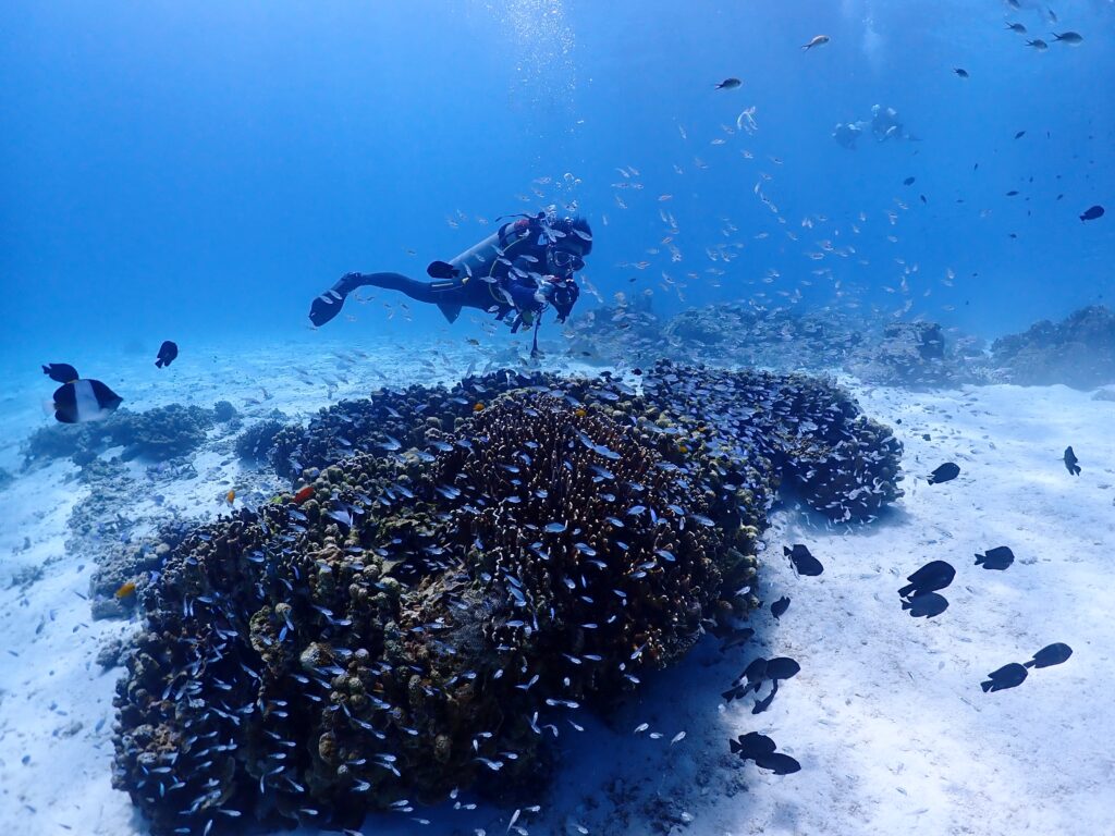 プーケットのラチャ島でダイビング