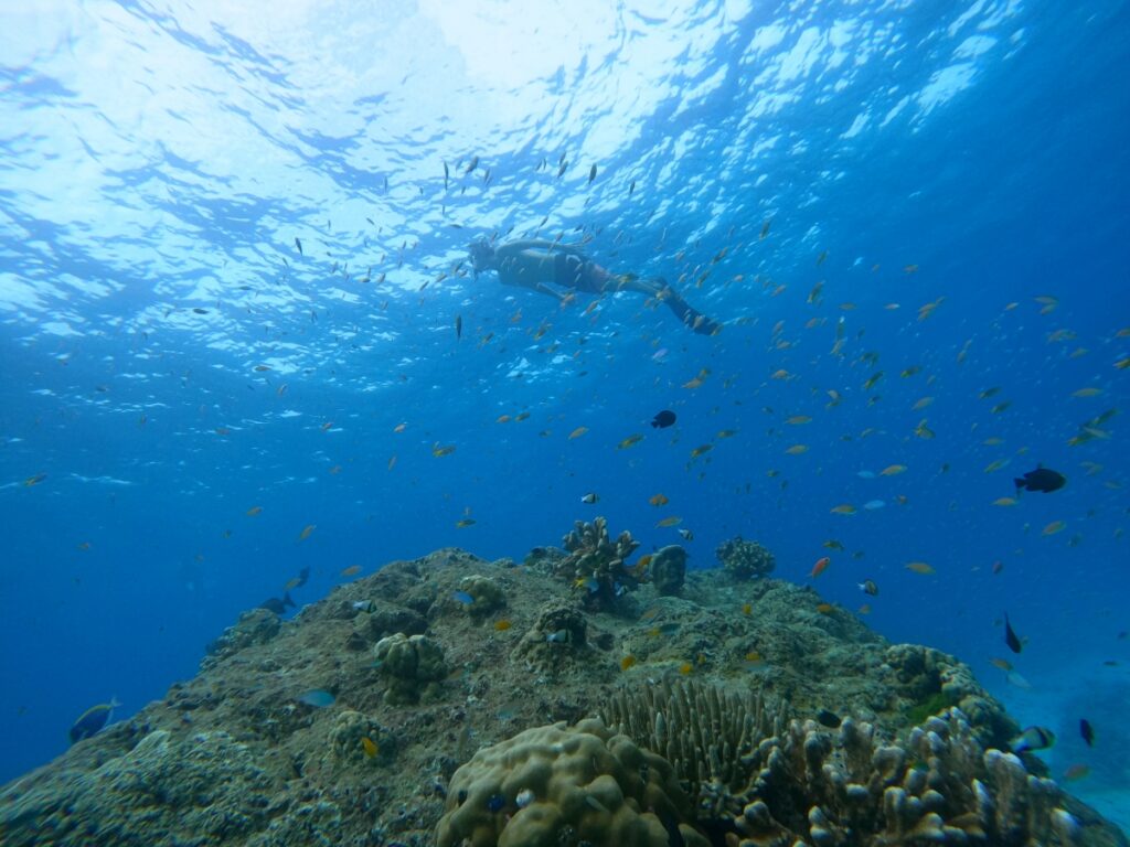 シミラン諸島でスキンダイビング