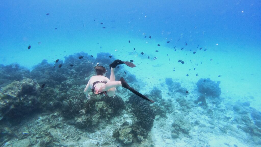 シミラン諸島でスキンダイビング