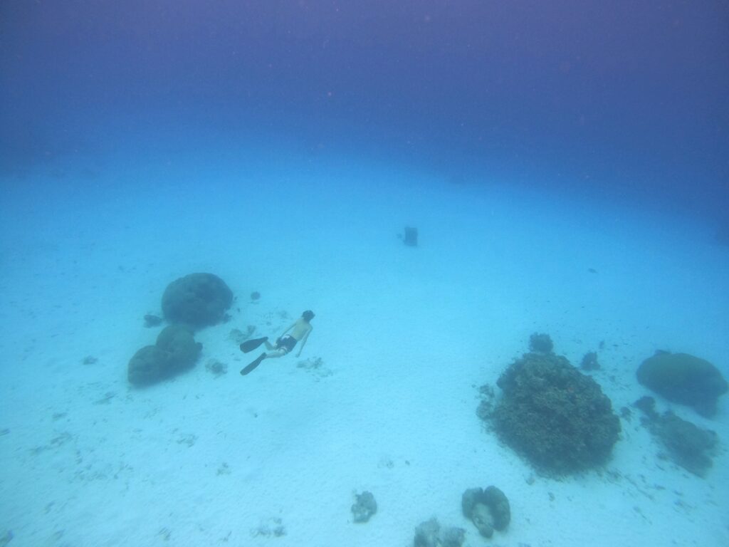 シミラン諸島でスキンダイビング