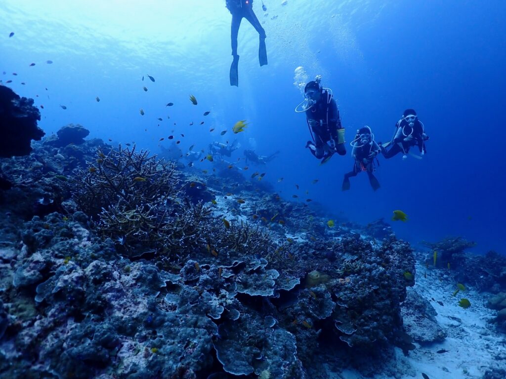 シミラン諸島でダイビング