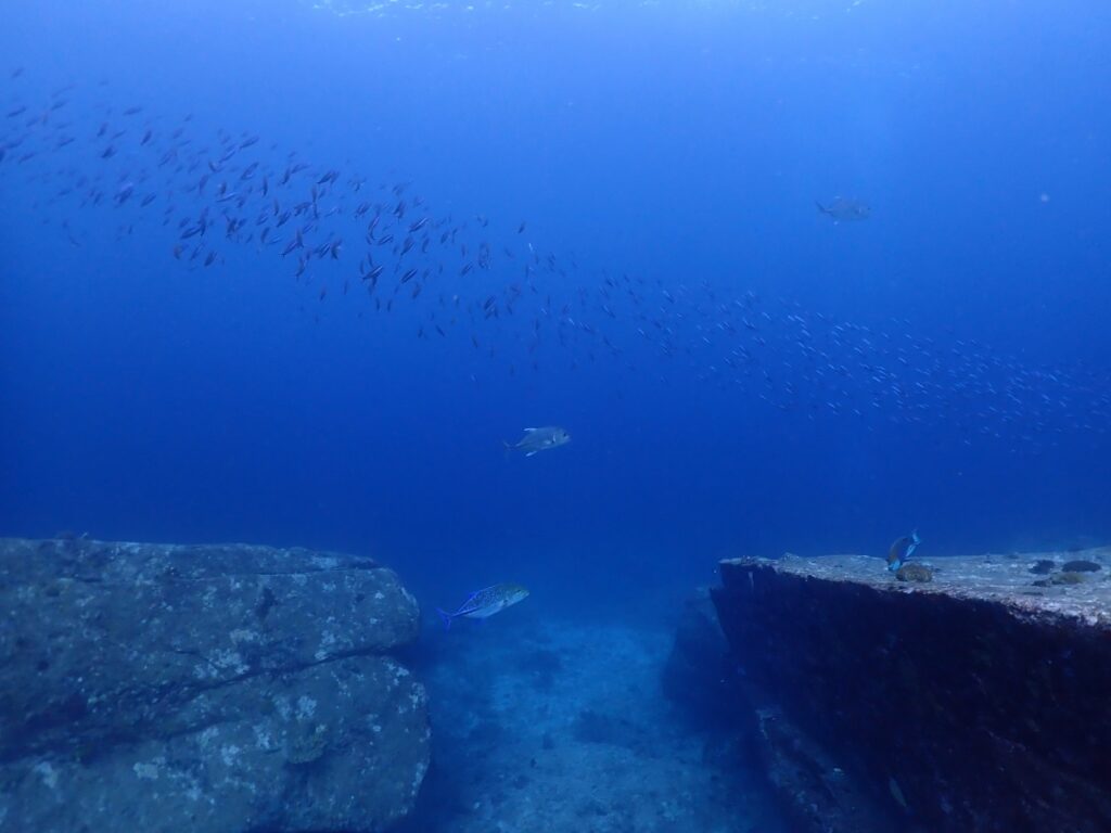 シミラン諸島でダイビング