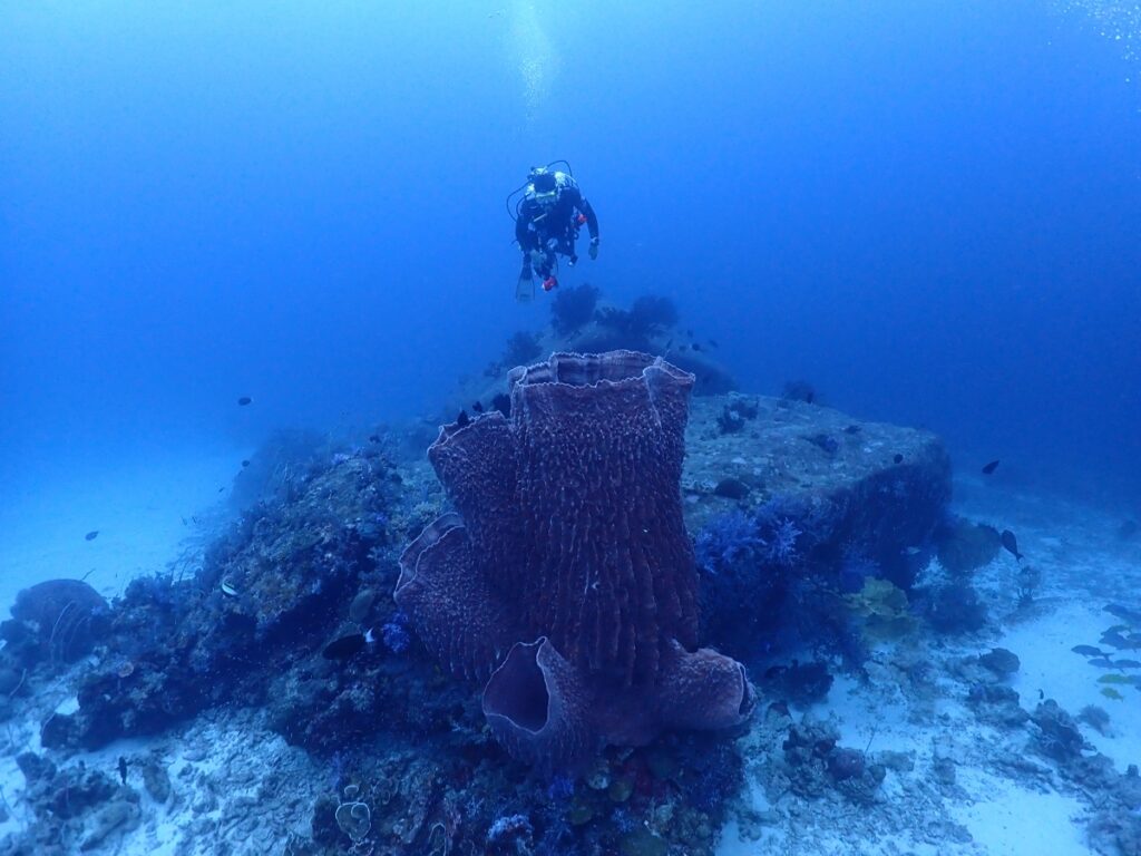 シミラン諸島でダイビング