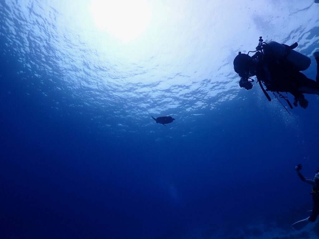 シミラン諸島でダイビング