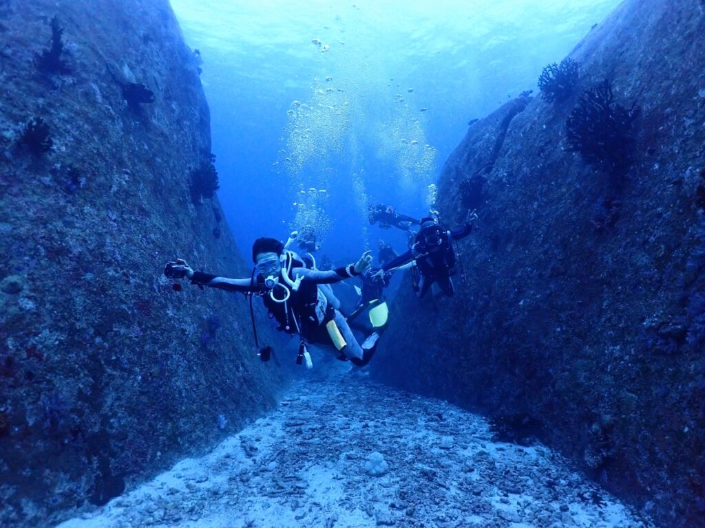 シミラン諸島でダイビング