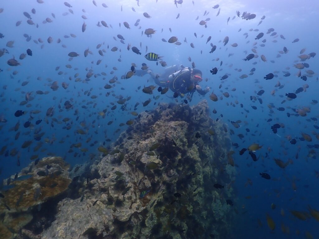 プーケットのピピ島でダイビング