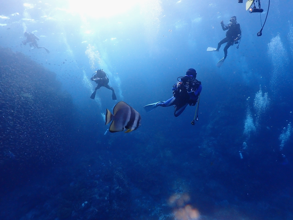 シミラン諸島でダイブクルーズ