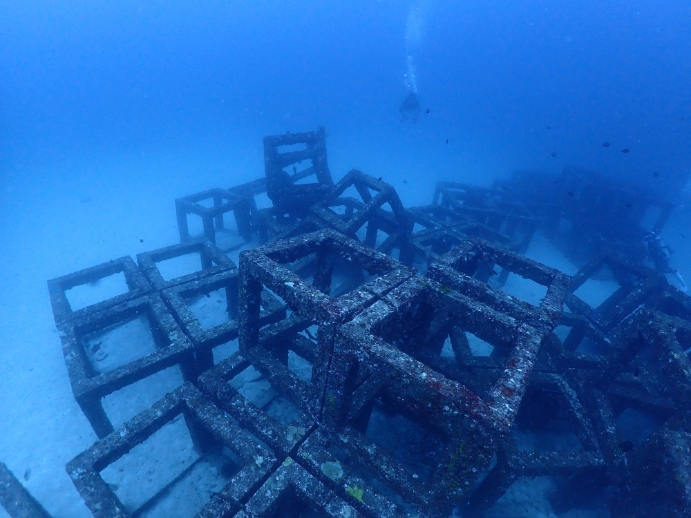 プーケットのラチャ島でダイビング