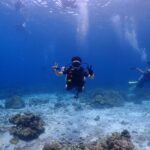 プーケットのラチャ島でファンダイビング