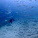プーケットのラチャ島でファンダイビング