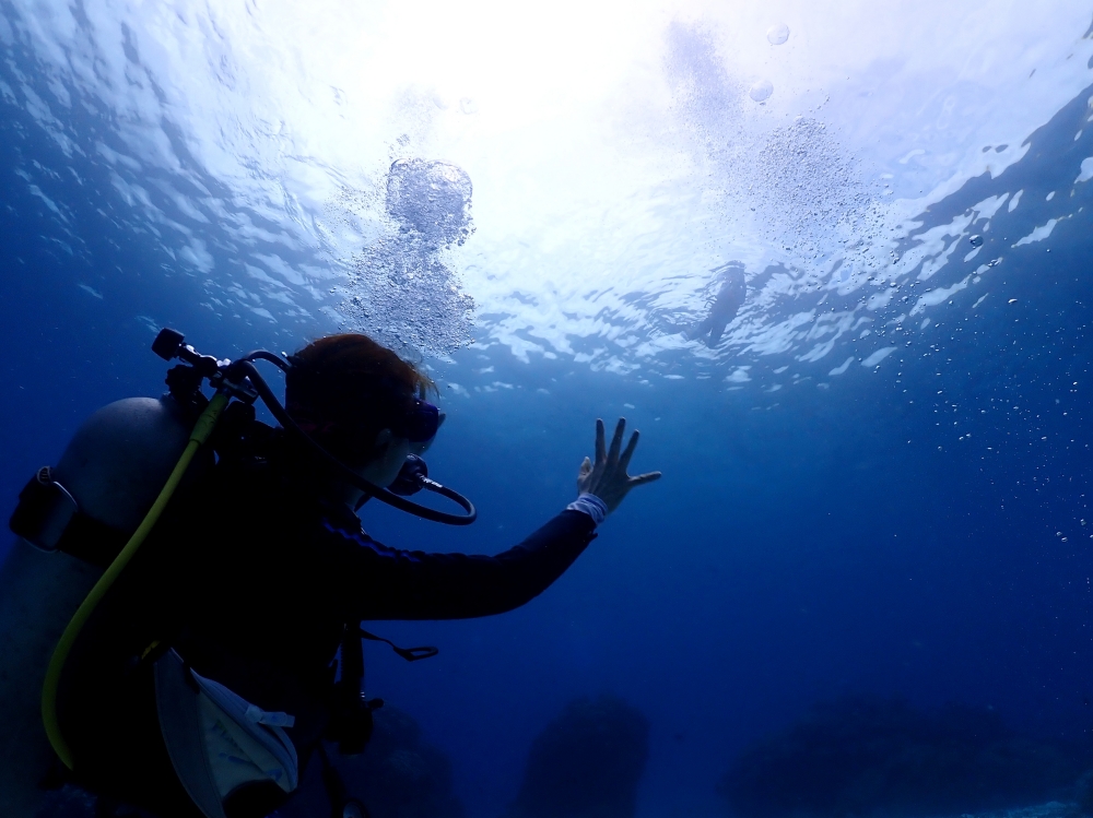 シミラン諸島でファンダイビング