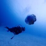 シミラン諸島でファンダイビング