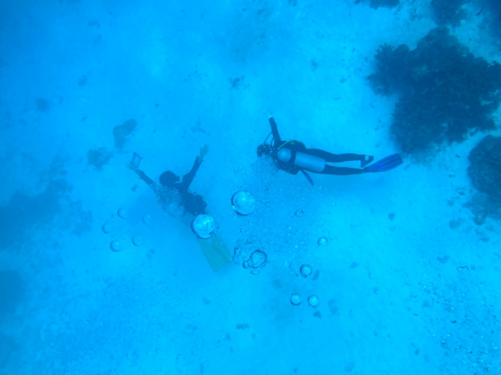 シミラン諸島でファンダイビング