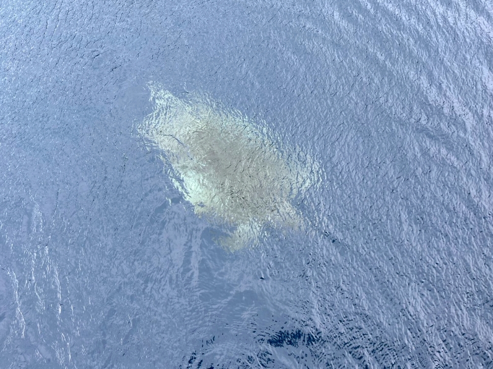 シミラン諸島でファンダイビング