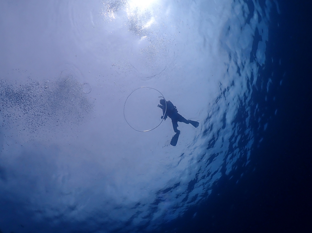 シミラン諸島でファンダイビング