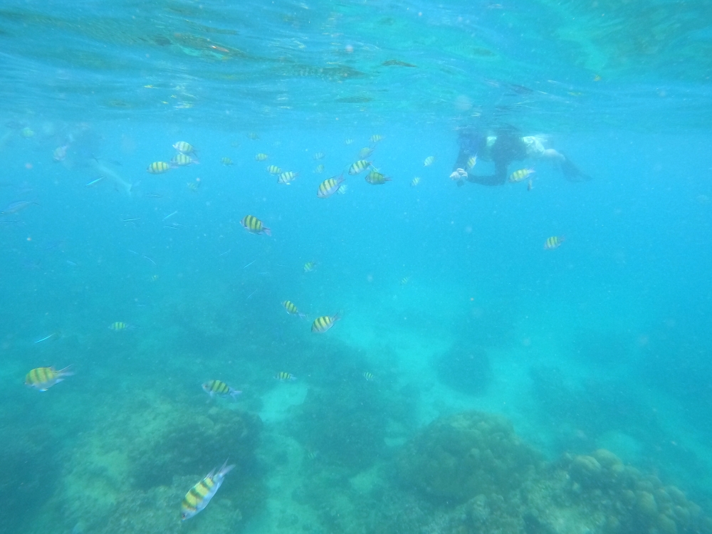 プーケットの近場離島バナナビーチでシュノーケリング