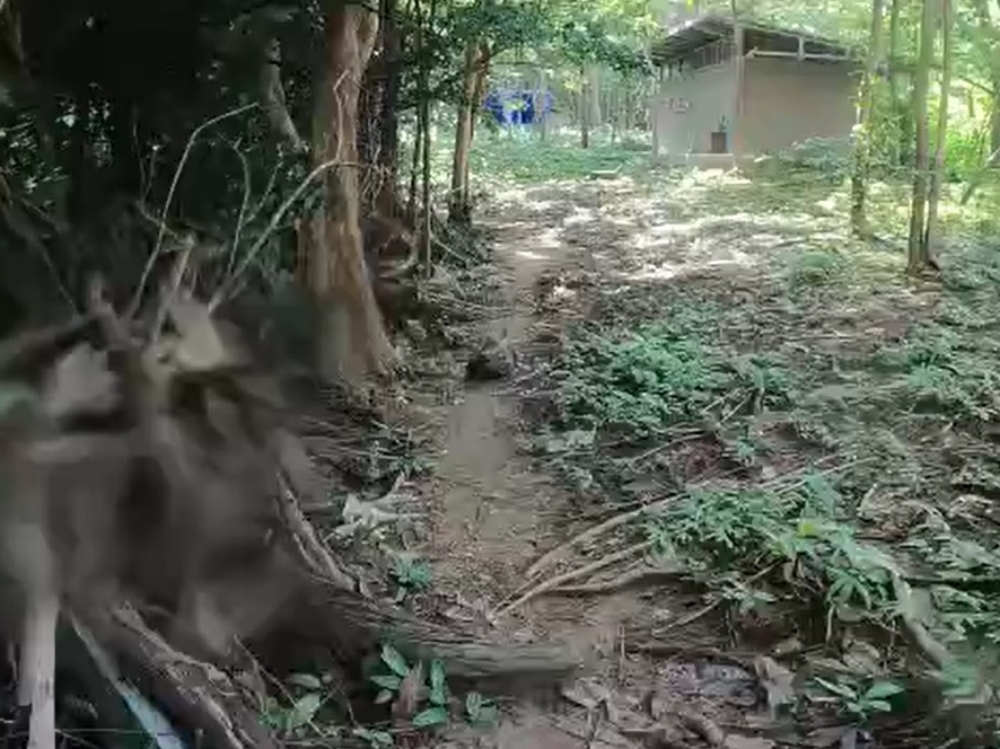 プーケットの近場離島バナナビーチでシュノーケリング