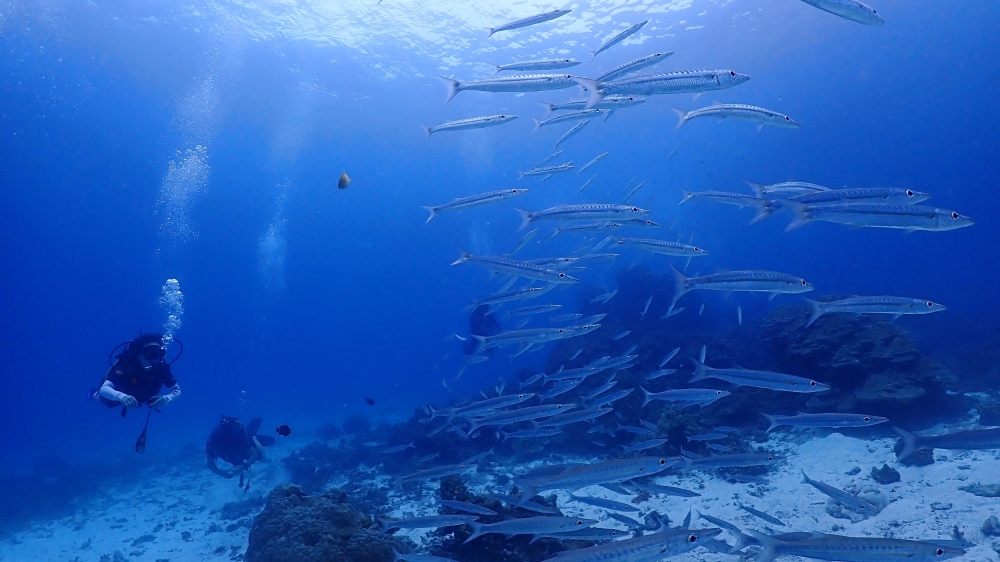プーケットのラチャノイ島でダイビング
