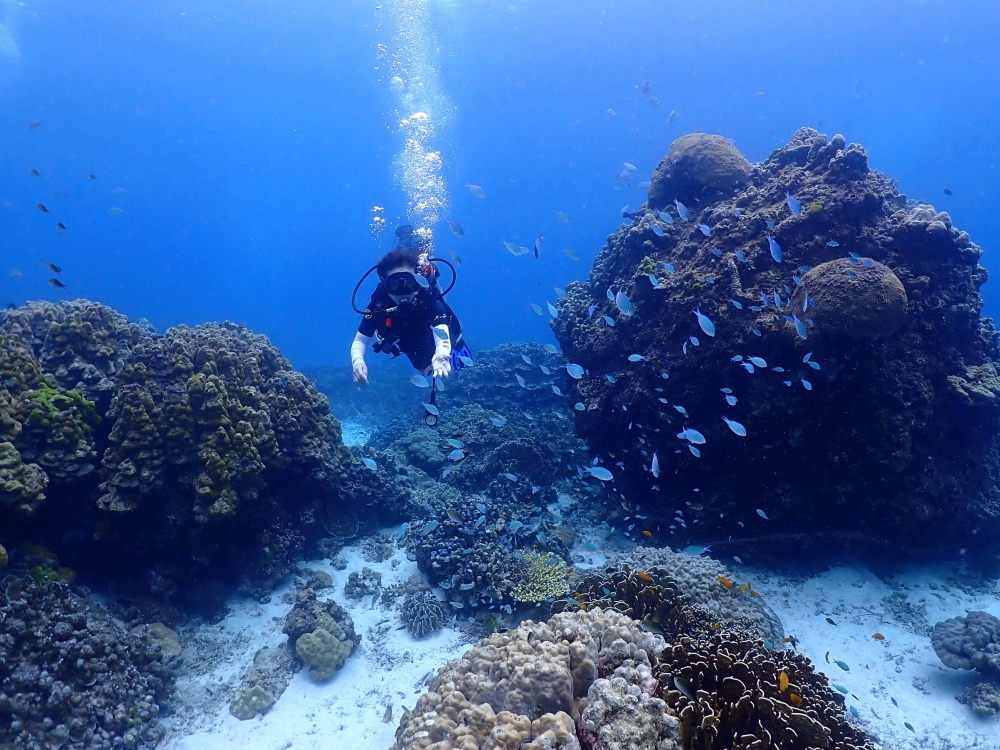 プーケットのラチャノイ島でダイビング