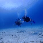 プーケットのラチャノイ島でダイビング