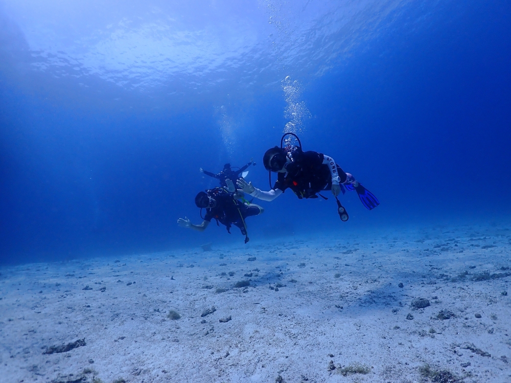 プーケットのラチャノイ島でダイビング