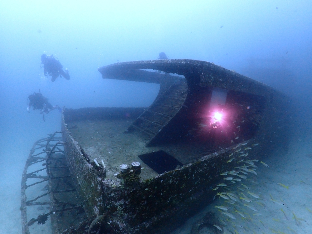 プーケットのラチャヤイ島でダイビング