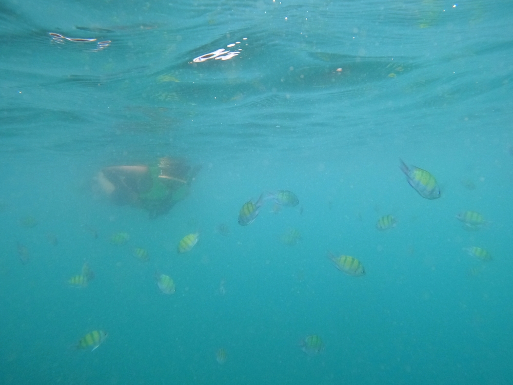 プーケットのバナナビーチでシュノーケリング