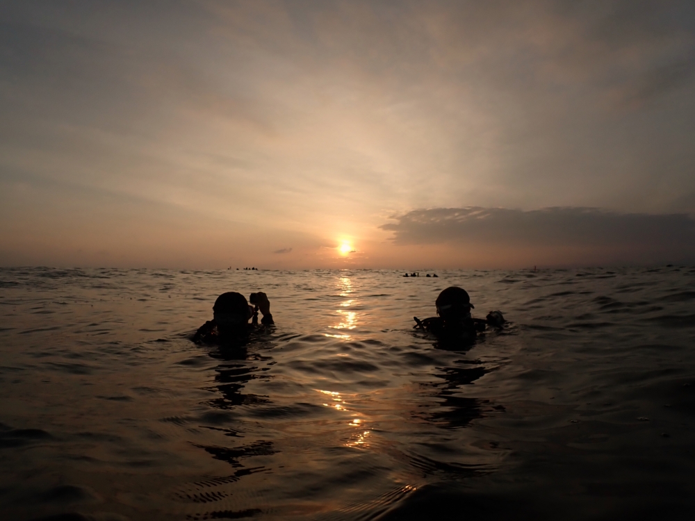 プーケットから行くシミランクルーズでダイビング