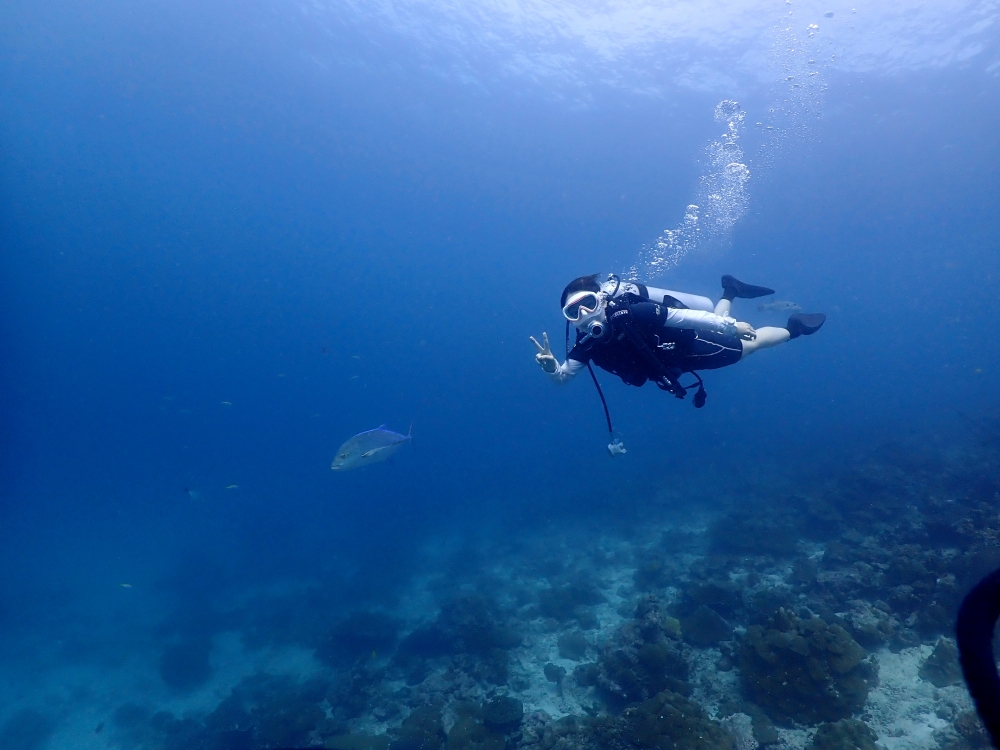 プーケットから行くシミランクルーズでダイビング