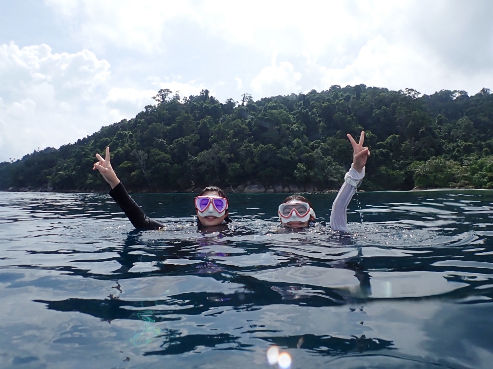 プーケットから行くシミランクルーズでダイビング