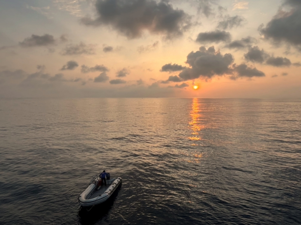 プーケットから行くシミランクルーズでダイビング