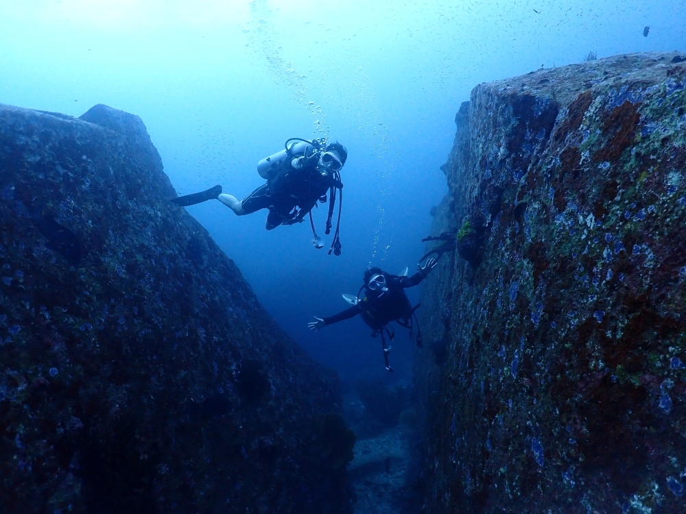 プーケットから行くシミランクルーズでダイビング