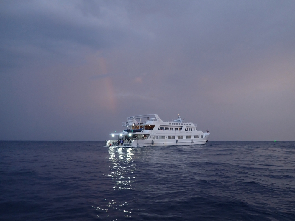 プーケットから行くシミランクルーズでダイビング