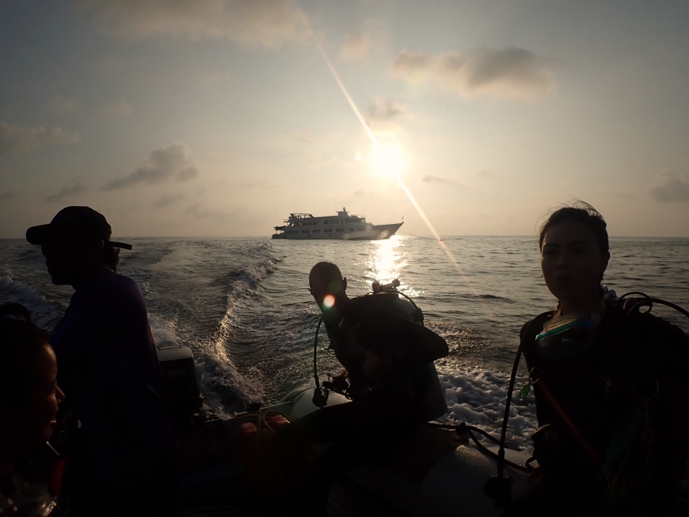 プーケットから行くシミランクルーズでダイビング