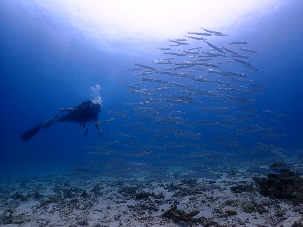 プーケットのラチャ島でダイビング