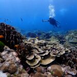 プーケットのラチャ島でダイビング