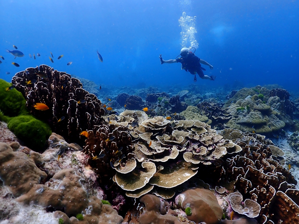 プーケットのラチャ島でダイビング