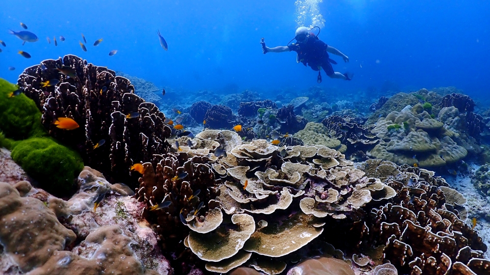 プーケットのラチャ島でダイビング