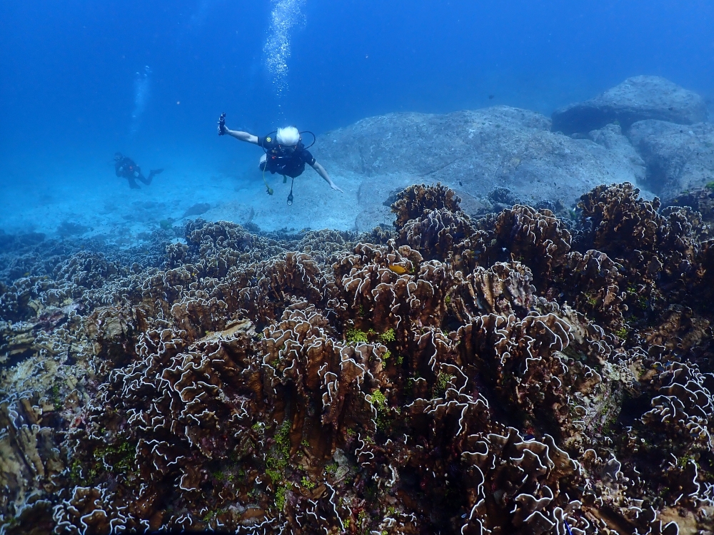 プーケットのラチャ島でダイビング